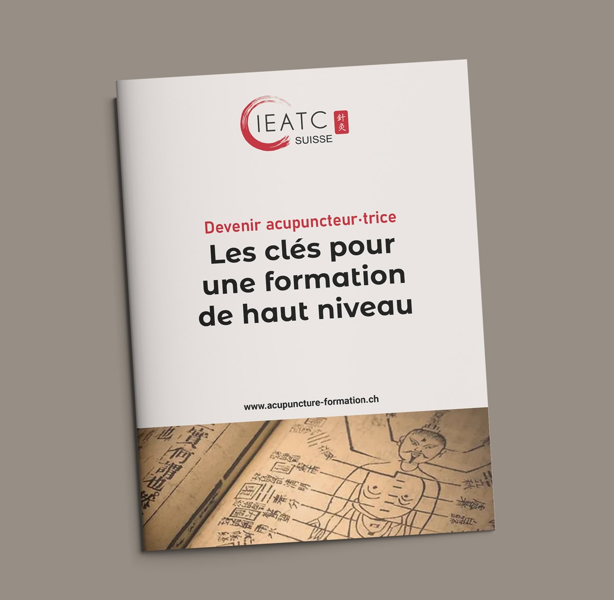 ebook Guide pour devenir un acupuncteur en Suisse